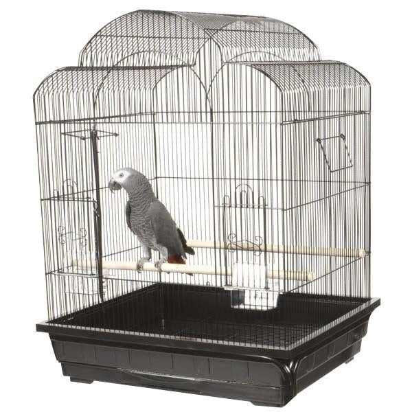 Products for Pet Birds