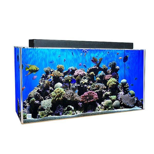 Rectangular Acrylic Aquariums