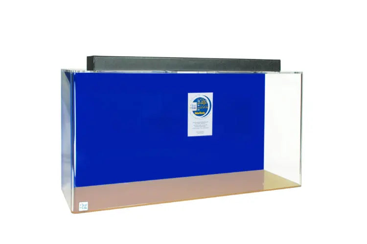 Blue Rectangular Acrylic Aquarium