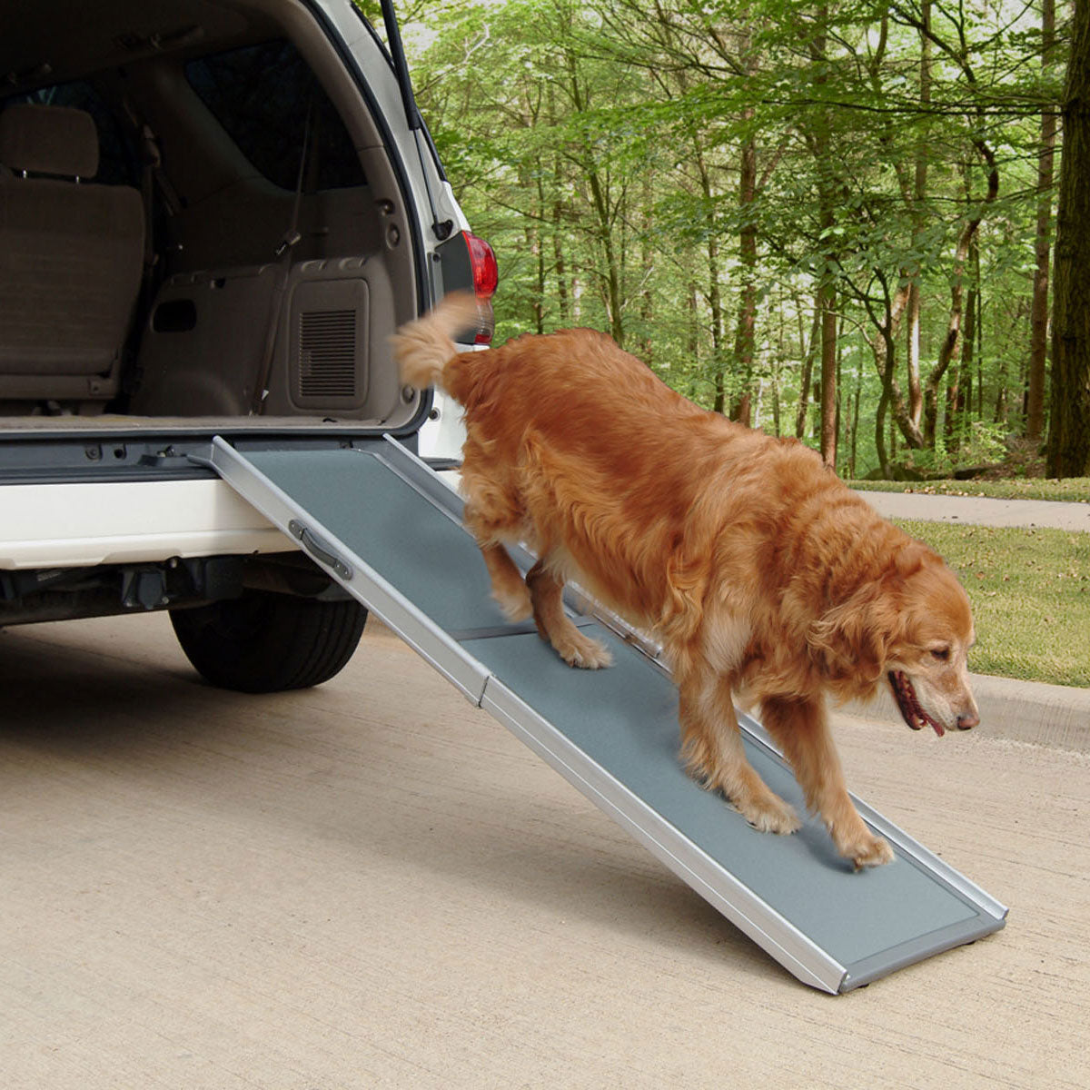 PetSafe Solvit Deluxe Telescoping Ramp Extra Large Gray 47″ – 89″ x 20″ x 4″