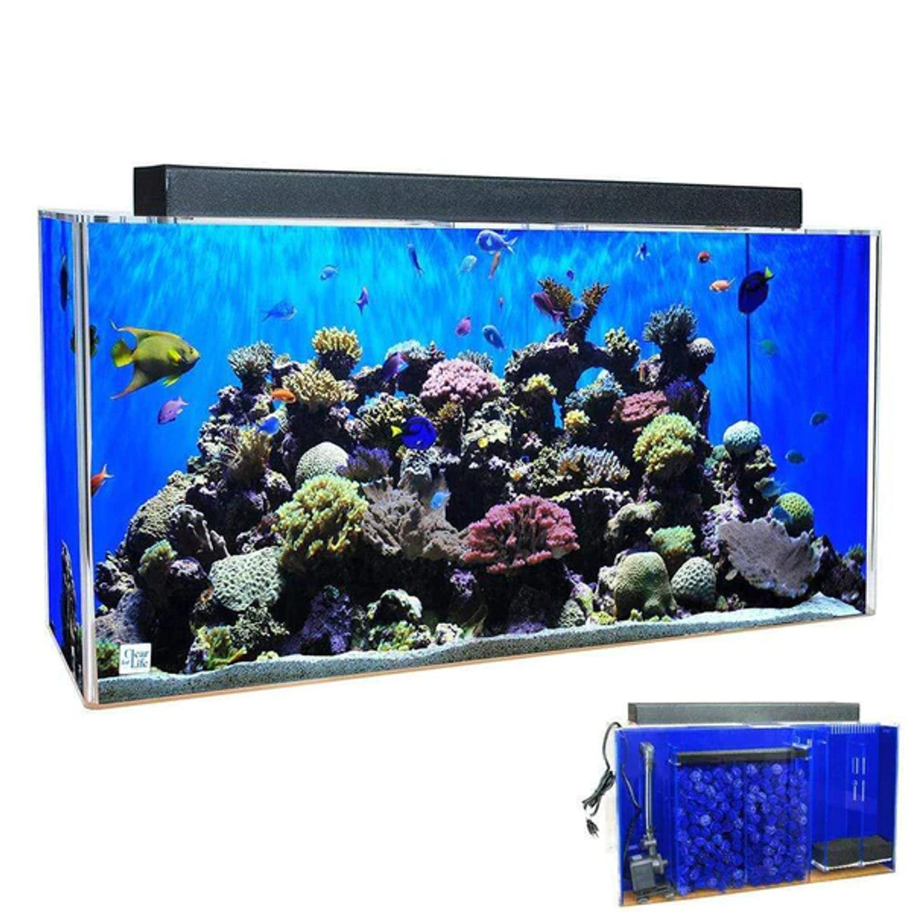 Clear-for-Life Rectangle Uniquarium