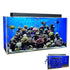 Clear-for-Life Rectangle Uniquarium