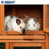 Prevue Pet Products Rabbit Hutch with Double- Run 4600