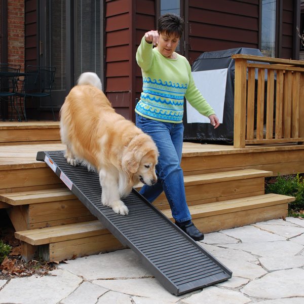 PetStep Folding Dog Ramp